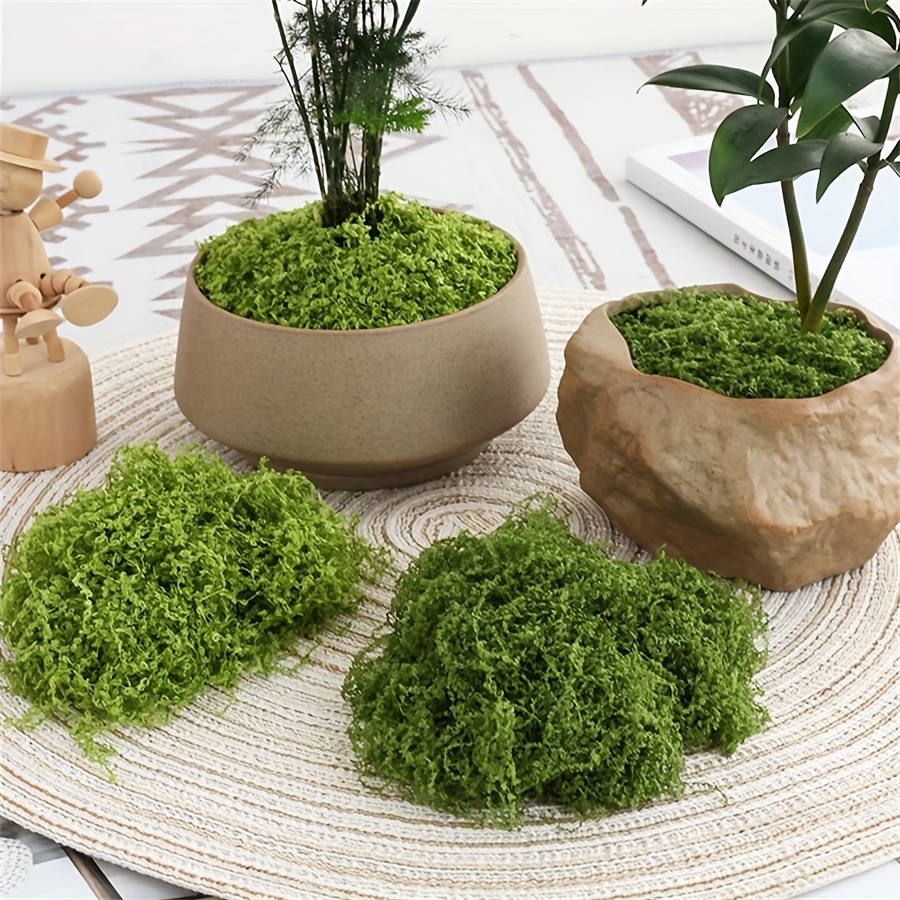 Terrarium Moss Art - 人工フェイクモス 1 パック、1.05 オンス DIY シミュレーション苔草マイクロ風景レイアウト鉢植え、芸術品や工芸品、テラリ用