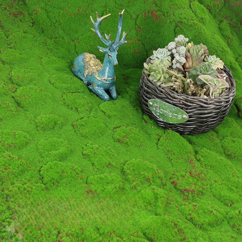 人工芝刈り機,庭の装飾,偽草,屋外芝生の種 - Terrarium Moss Art のレビューと価格