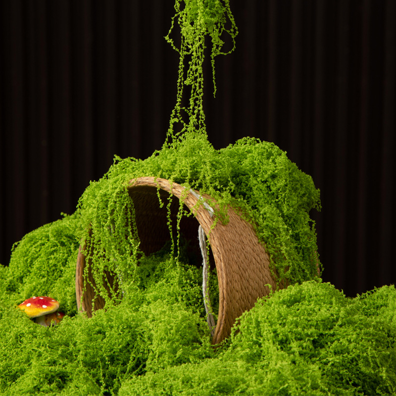 200 グラム永遠の命苔 DIY 工芸品草人工緑植物ホームル - Terrarium Moss Art のレビューと価格