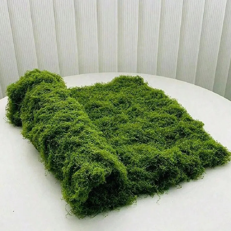 人工苔、マイクロランドスケープ装飾用、芝生用苔、盆栽、鉢植え - Terrarium Moss Art のレビューと価格